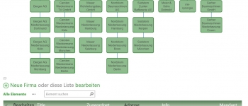 DOCM-Unternehmensorganigramm