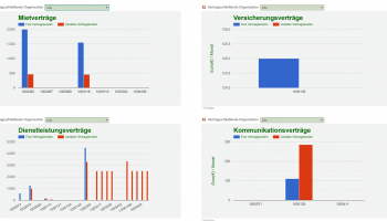 Einzelvertragsauswertung