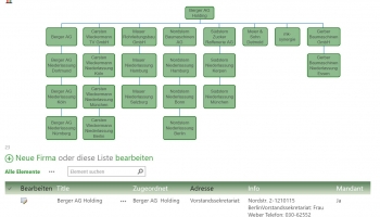 DOCM-Unternehmensorganigramm